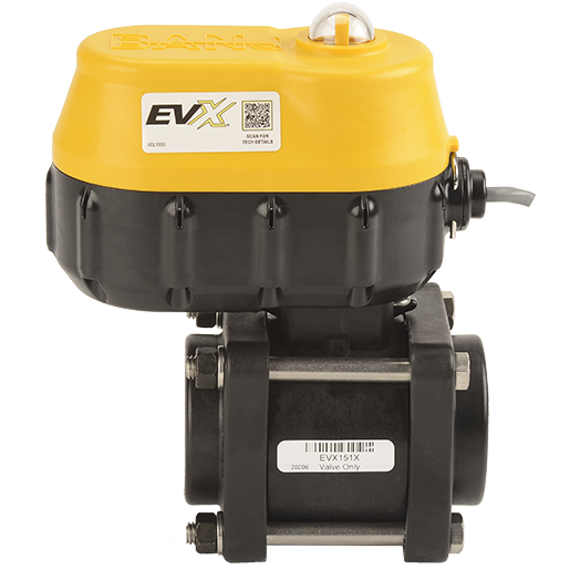 EVX15124